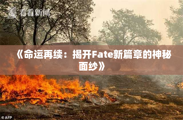 《命运再续：揭开Fate新篇章的神秘面纱》