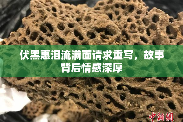 伏黑惠泪流满面请求重写，故事背后情感深厚
