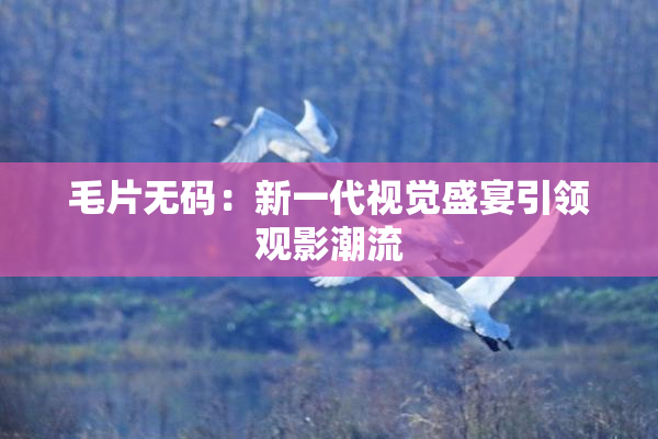 毛片无码：新一代视觉盛宴引领观影潮流