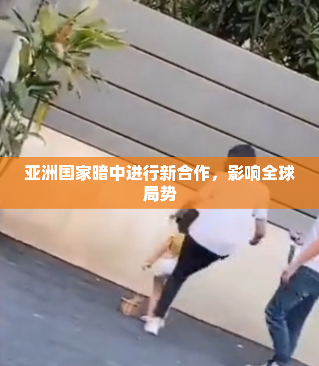 亚洲国家暗中进行新合作，影响全球局势