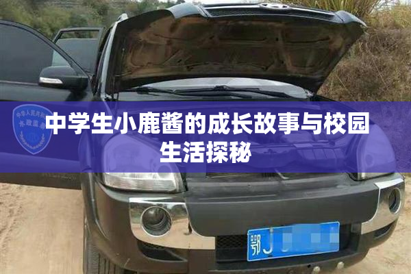 中学生小鹿酱的成长故事与校园生活探秘