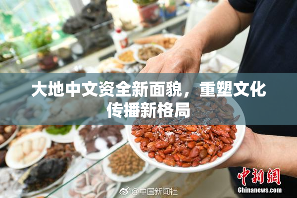 大地中文资全新面貌，重塑文化传播新格局