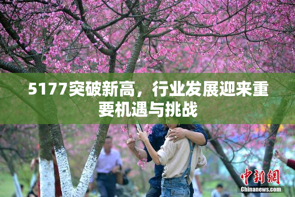 5177突破新高，行业发展迎来重要机遇与挑战