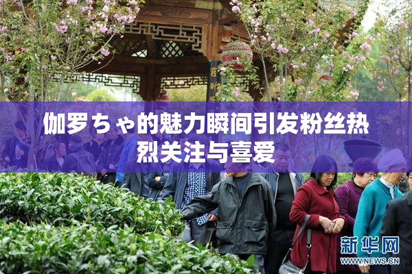 伽罗ちゃ的魅力瞬间引发粉丝热烈关注与喜爱