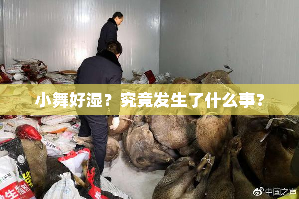 小舞好湿？究竟发生了什么事？