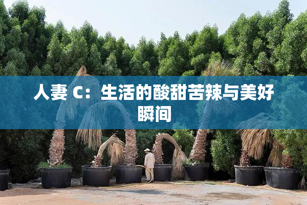 人妻 C：生活的酸甜苦辣与美好瞬间