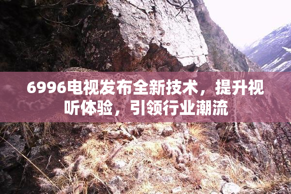 6996电视发布全新技术，提升视听体验，引领行业潮流