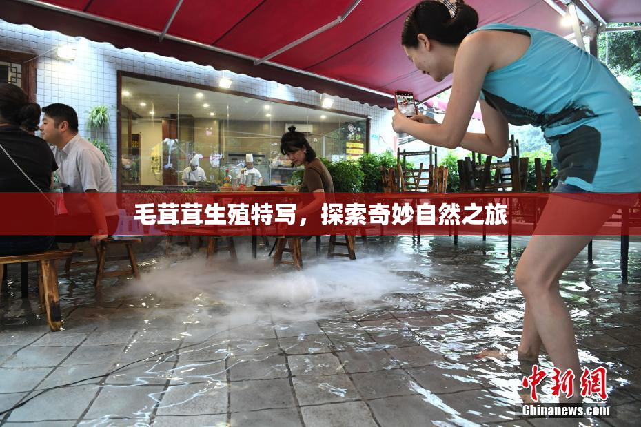 毛茸茸生殖特写，探索奇妙自然之旅