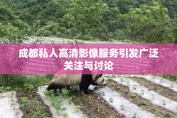 成都私人高清影像服务引发广泛关注与讨论