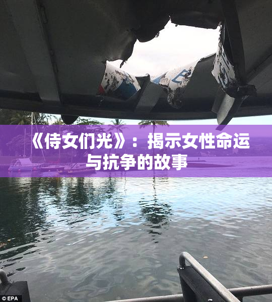 《侍女们光》：揭示女性命运与抗争的故事