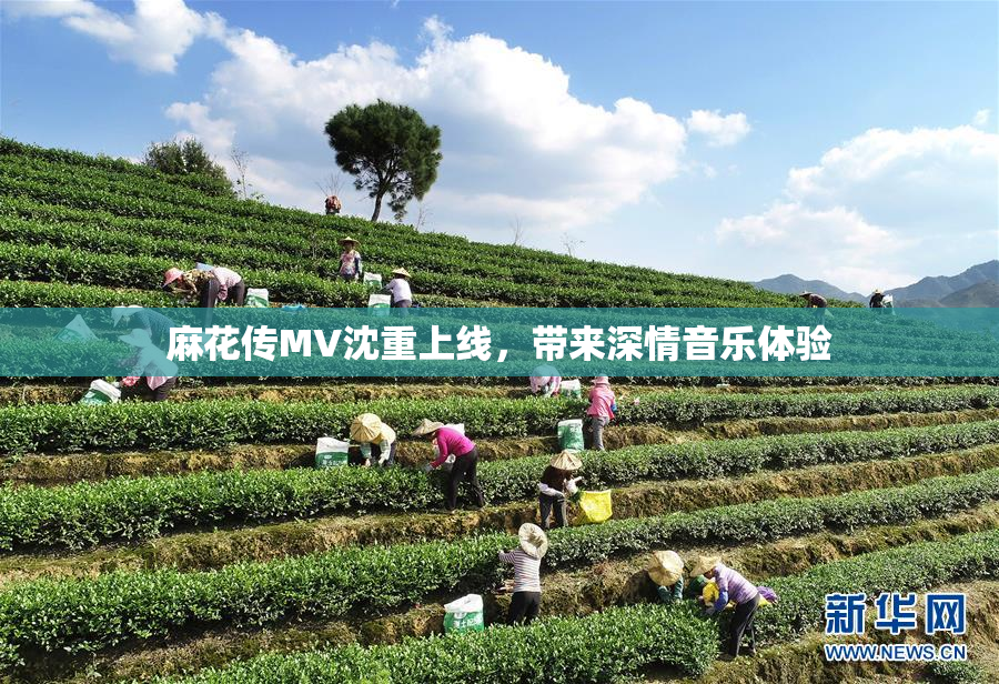 麻花传MV沈重上线，带来深情音乐体验