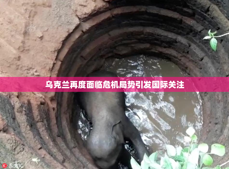 乌克兰再度面临危机局势引发国际关注