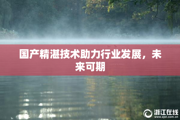 国产精湛技术助力行业发展，未来可期
