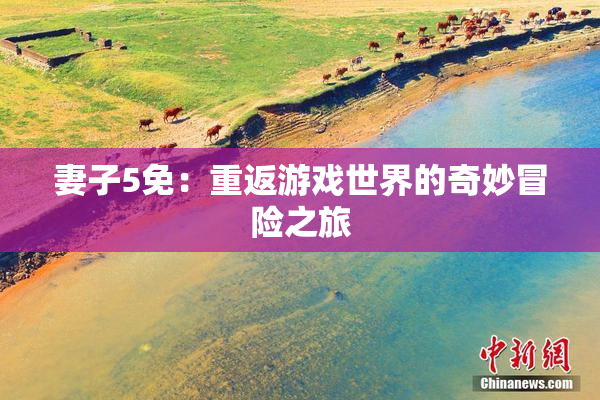 妻子5免：重返游戏世界的奇妙冒险之旅
