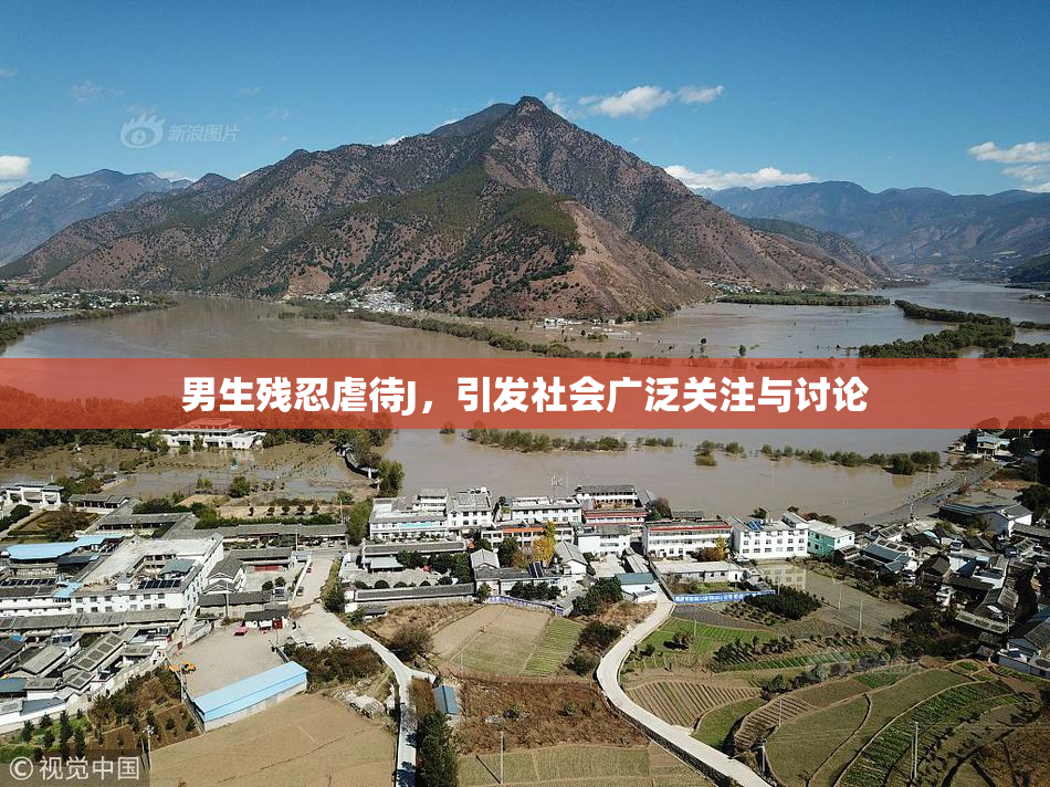 男生残忍虐待J，引发社会广泛关注与讨论