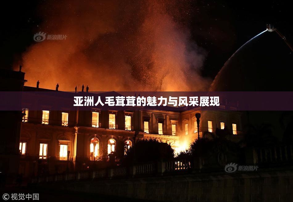 亚洲人毛茸茸的魅力与风采展现