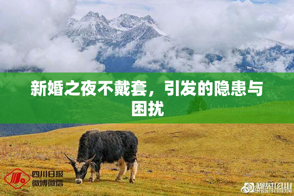 新婚之夜不戴套，引发的隐患与困扰