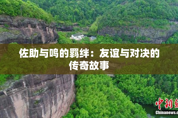 佐助与鸣的羁绊：友谊与对决的传奇故事