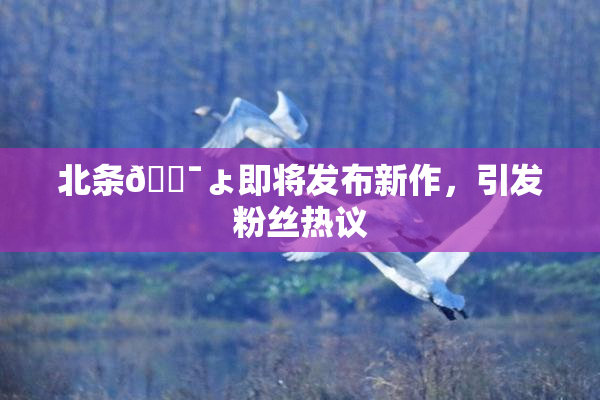 北条🔯ょ即将发布新作，引发粉丝热议