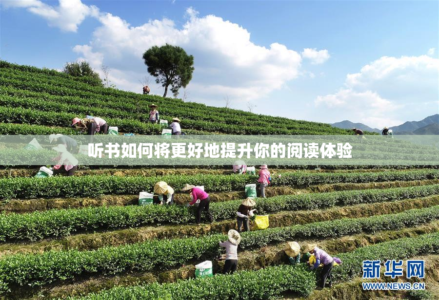 听书如何将更好地提升你的阅读体验