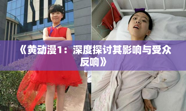 《黄动漫1：深度探讨其影响与受众反响》