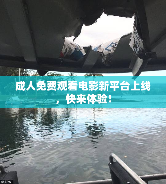 成人免费观看电影新平台上线，快来体验！