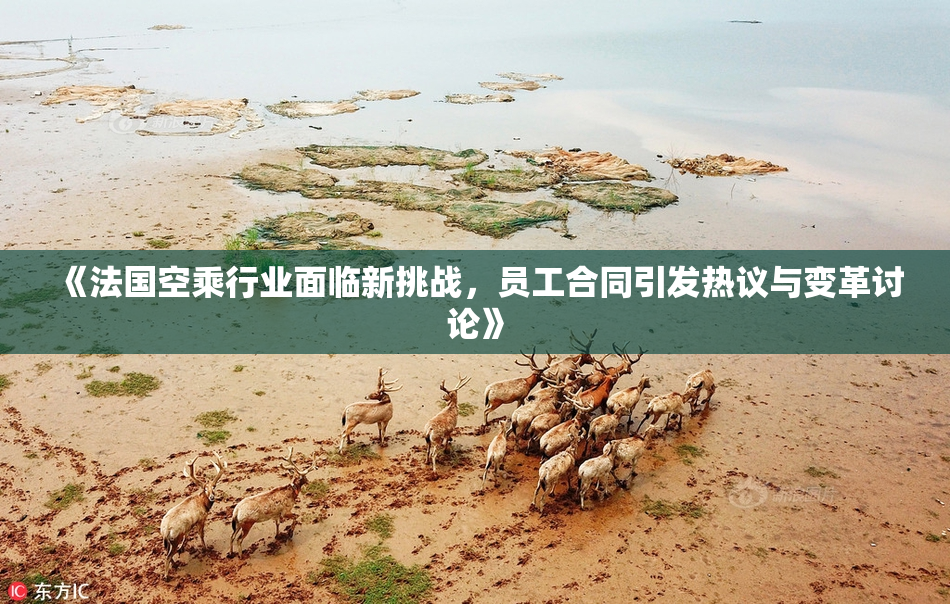 《法国空乘行业面临新挑战，员工合同引发热议与变革讨论》