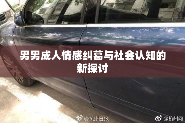 男男成人情感纠葛与社会认知的新探讨