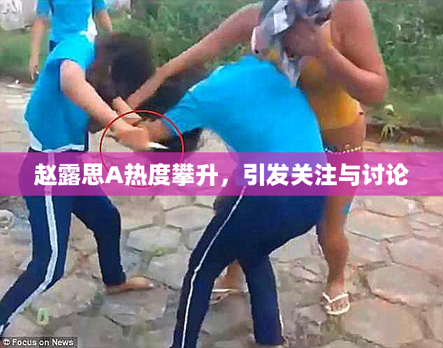 赵露思A热度攀升，引发关注与讨论