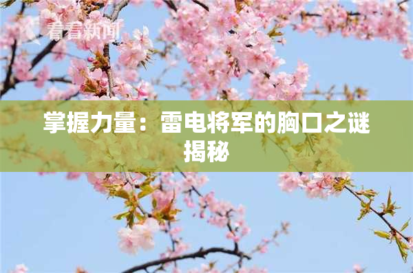 掌握力量：雷电将军的胸口之谜揭秘