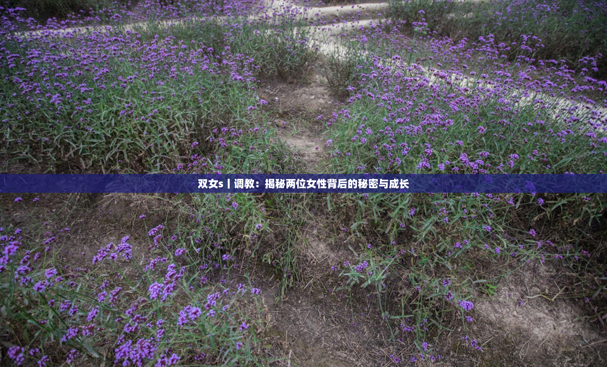双女s丨调教：揭秘两位女性背后的秘密与成长