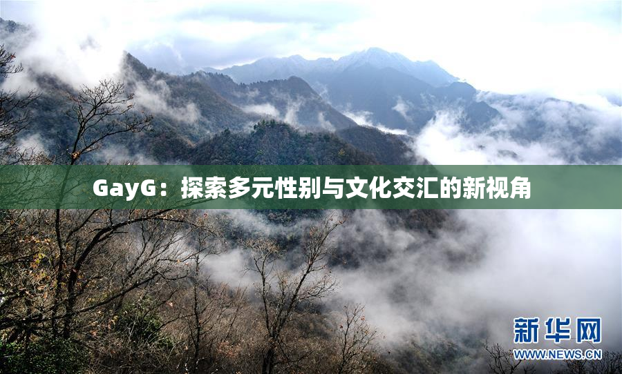 GayG：探索多元性别与文化交汇的新视角
