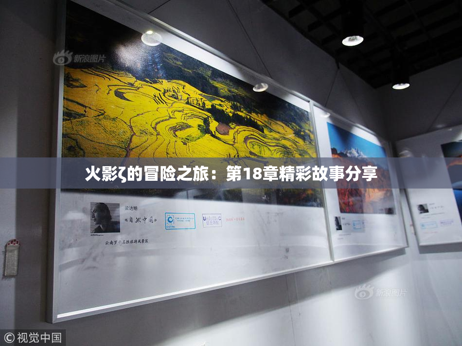 火影ζ的冒险之旅：第18章精彩故事分享