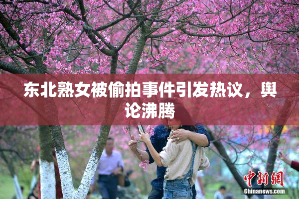 东北熟女被偷拍事件引发热议，舆论沸腾