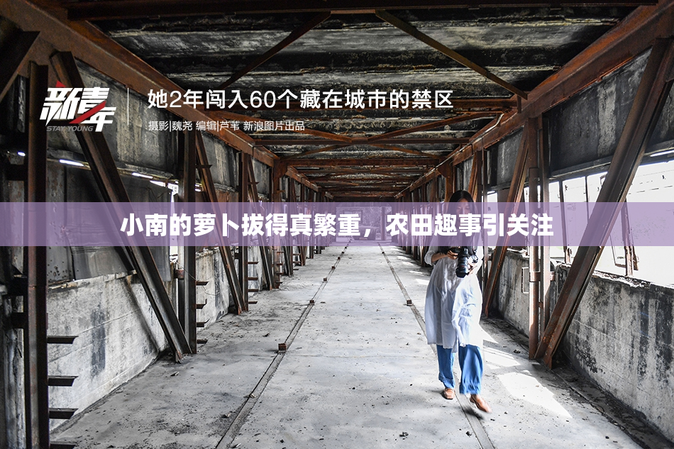 小南的萝卜拔得真繁重，农田趣事引关注