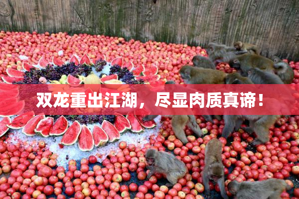 双龙重出江湖，尽显肉质真谛！