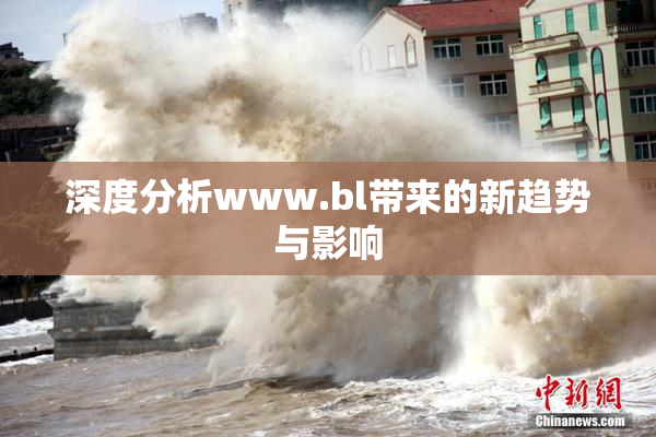 深度分析www.bl带来的新趋势与影响