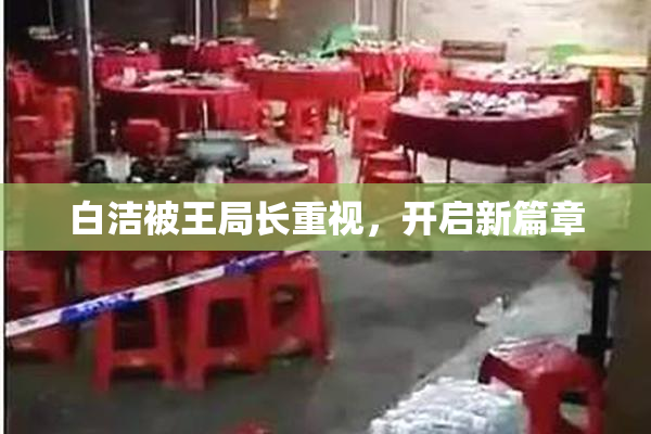 白洁被王局长重视，开启新篇章