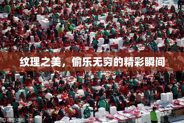 纹理之美，偷乐无穷的精彩瞬间