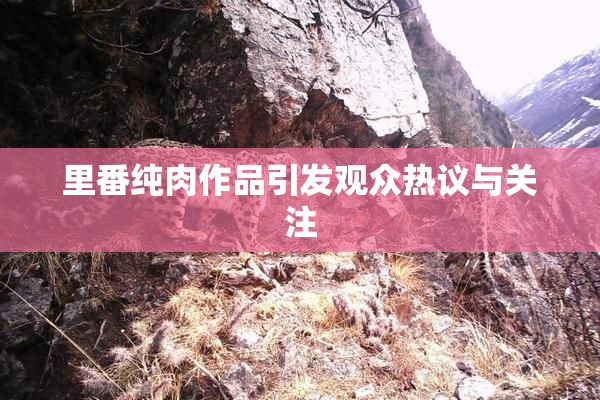 里番纯肉作品引发观众热议与关注