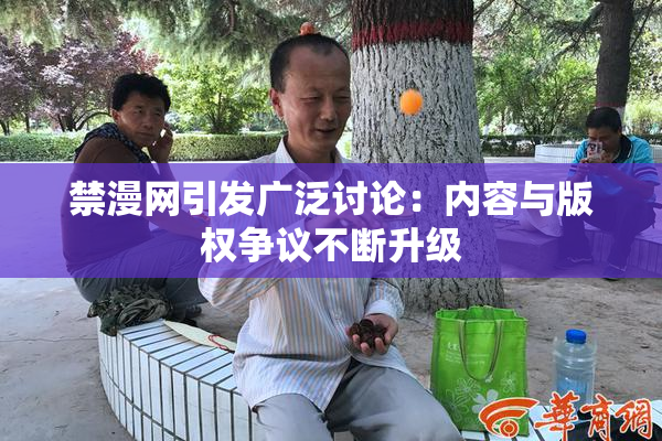 禁漫网引发广泛讨论：内容与版权争议不断升级