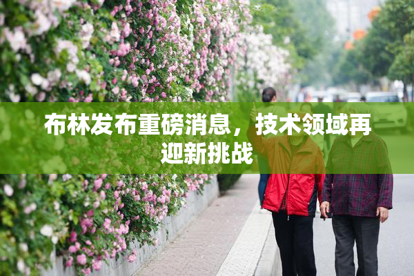 布林发布重磅消息，技术领域再迎新挑战