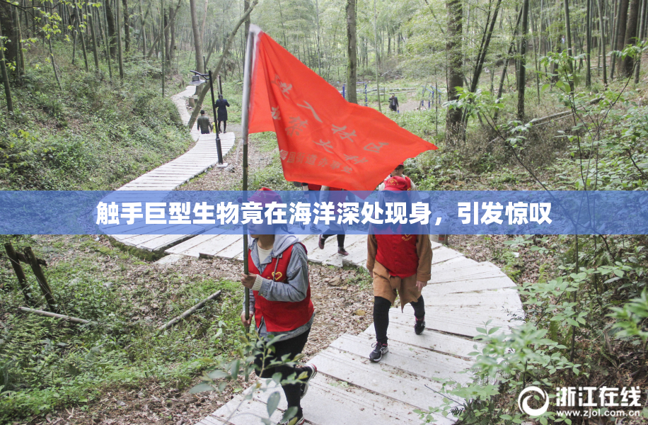 触手巨型生物竟在海洋深处现身，引发惊叹