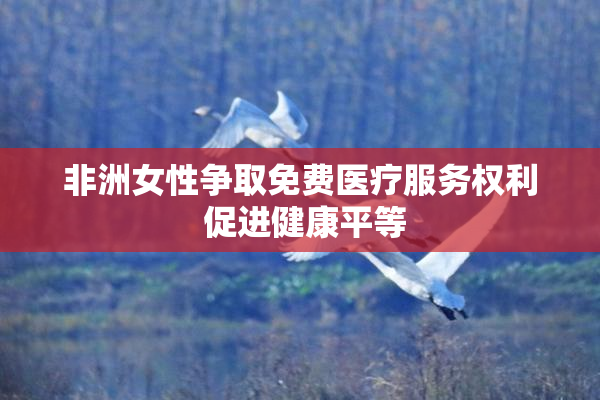 非洲女性争取免费医疗服务权利 促进健康平等