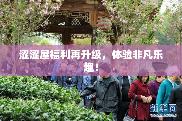 涩涩屋福利再升级，体验非凡乐趣！
