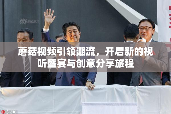 蘑菇视频引领潮流，开启新的视听盛宴与创意分享旅程