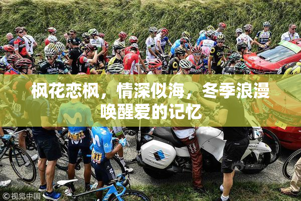枫花恋枫，情深似海，冬季浪漫唤醒爱的记忆