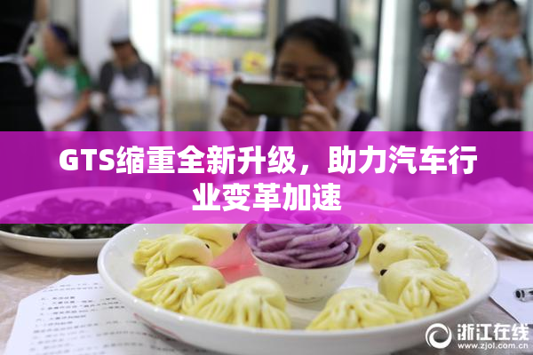 GTS缩重全新升级，助力汽车行业变革加速