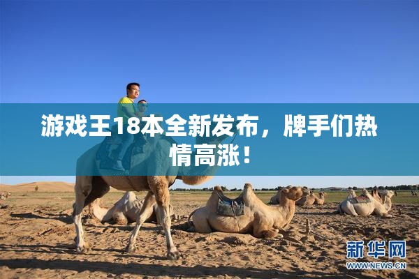 游戏王18本全新发布，牌手们热情高涨！