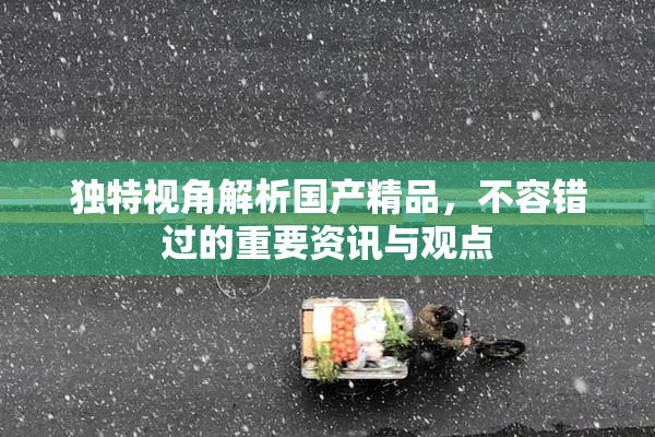 独特视角解析国产精品，不容错过的重要资讯与观点